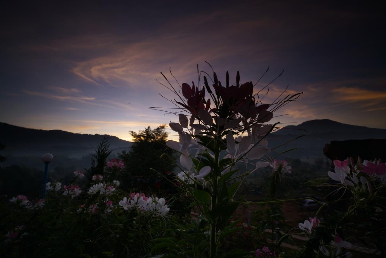 Khaokho Punsukphumok Hotel Khao Kho Luaran gambar