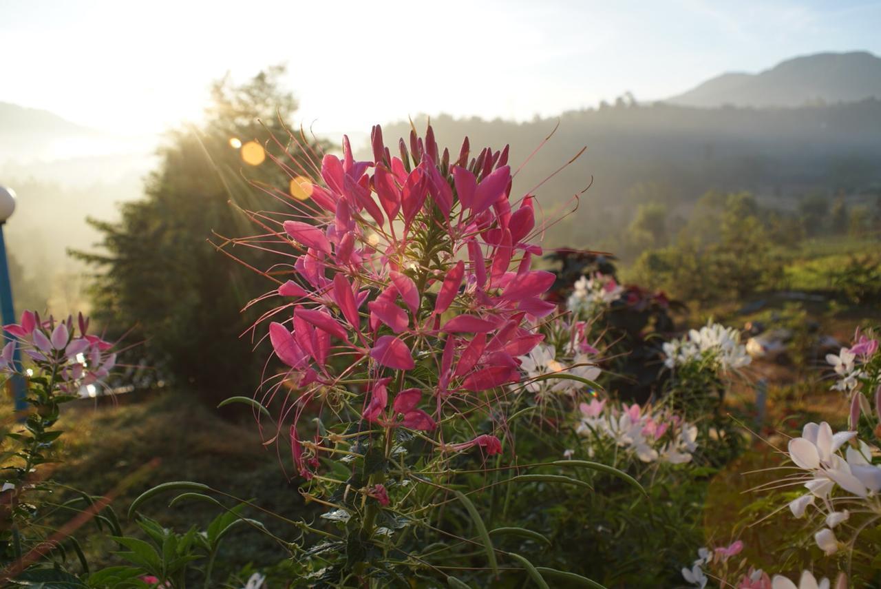 Khaokho Punsukphumok Hotel Khao Kho Luaran gambar