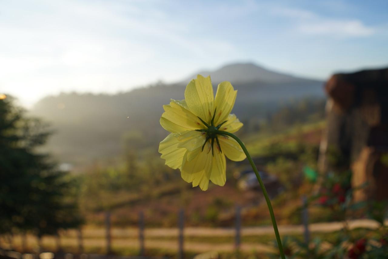 Khaokho Punsukphumok Hotel Khao Kho Luaran gambar